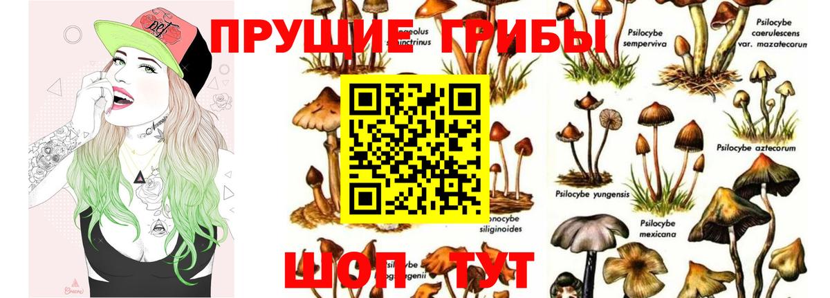 Псилоцибиновые грибы мицелий  Вход с VPN  наркота  Грязи 